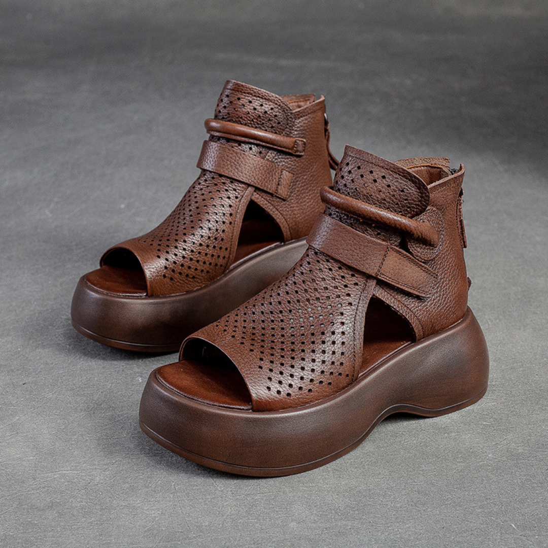Brown / 12