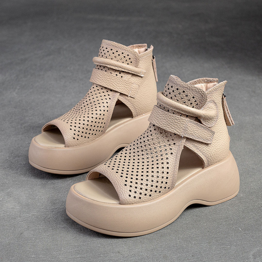 Beige / 12