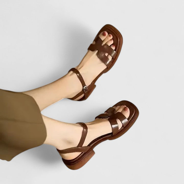 Brown / 10